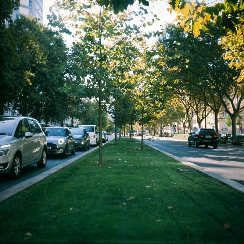 Separador relvado e arborizado da Avenida da República, em Lisboa, a poucos metros do escritório